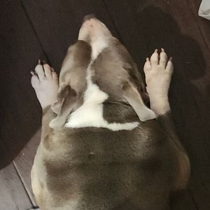 Meet your Posher, Thomas